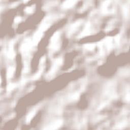 Brasil Novo Terrain Map