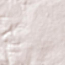 Urbano Santos Terrain Map