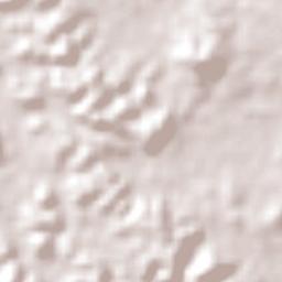 Presidente Vargas Terrain Map