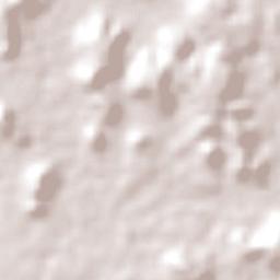 Nina Rodrigues Terrain Map