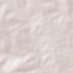 Old Shinyanga Terrain Map