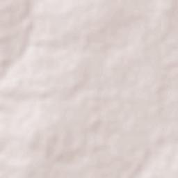 Cocal dos Alves Terrain Map