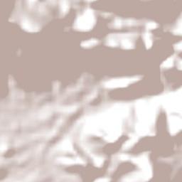 Itapagé Terrain Map