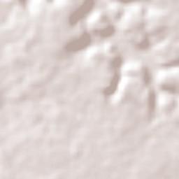 São João do Arraial Terrain Map