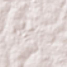 Eusébio Terrain Map