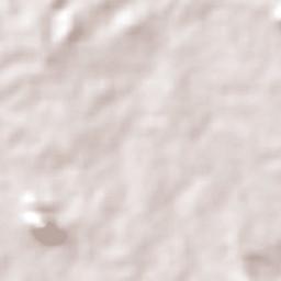 Tejuçuoca Terrain Map