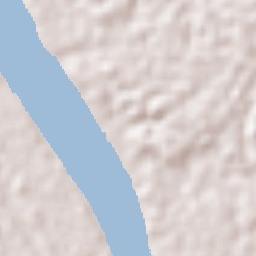 Tamshiyacu Terrain Map