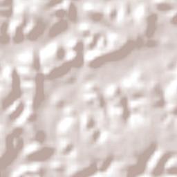 Nossa Senhora dos Remédios Terrain Map