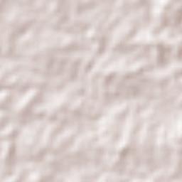 Paramoti Terrain Map