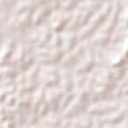 Vitorino Freire Terrain Map