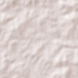 Pires Ferreira Terrain Map