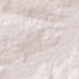 Chorozinho Terrain Map