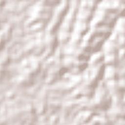 Kabupaten Way Kanan Terrain Map