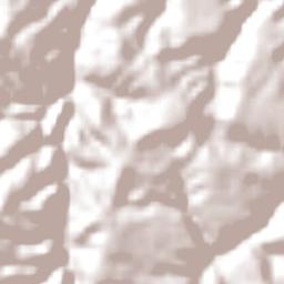 Bom Jesus das Selvas Terrain Map