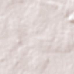 Lagoa Alegre Terrain Map