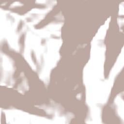 Kabupaten Pegunungan Bintang Terrain Map