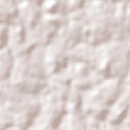 Novo Repartimento Terrain Map