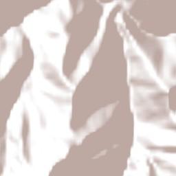 Provincia de Ayabaca Terrain Map