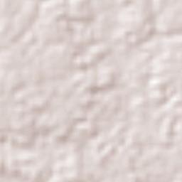 San Lorenzo Terrain Map