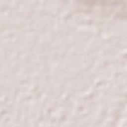 Jaguaruana Terrain Map