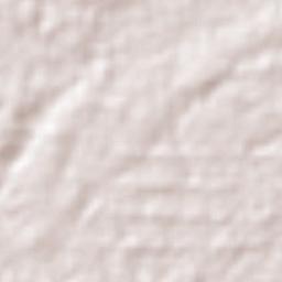 Terbanggi Besar Terrain Map