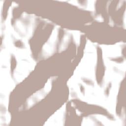 Telefomin Terrain Map