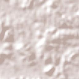 Governador Archer Terrain Map