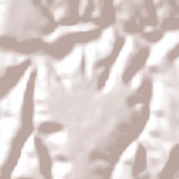 São Raimundo do Doca Bezerra Terrain Map