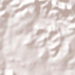 São Francisco do Brejão Terrain Map