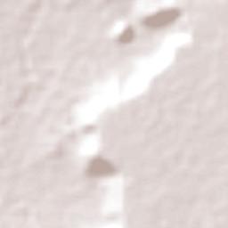 Limoeiro do Norte Terrain Map