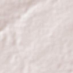 São Miguel do Gostoso Terrain Map