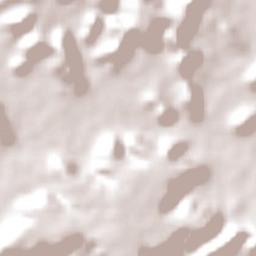 Pau D'arco do Piauí Terrain Map