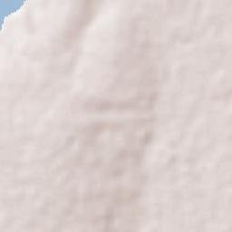 Carnaubais Terrain Map