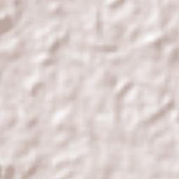 Presidente Dutra Terrain Map