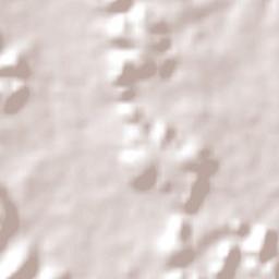 Demerval Lobão Terrain Map