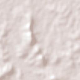 Augustinópolis Terrain Map