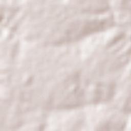 Governador Luiz Rocha Terrain Map