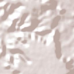 Monsenhor Gil Terrain Map