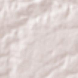 Bento Fernandes Terrain Map