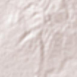 Pueblo Nuevo Terrain Map