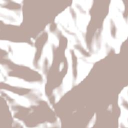 Rai Coast Terrain Map