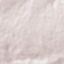 São Gonçalo do Amarante Terrain Map