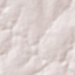 Lagoinha do Piauí Terrain Map