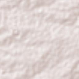 Caraúbas Terrain Map