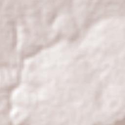 Olho d'Água do Piauí Terrain Map