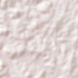 Piquet Carneiro Terrain Map