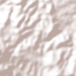 Monte Alegre Terrain Map