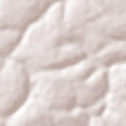 Lagoa do Mato Terrain Map