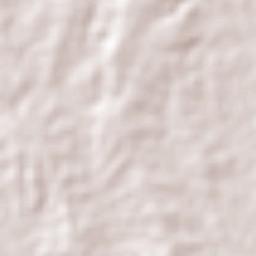 São João dos Inhamuns Terrain Map