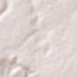 São José de Mipibu Terrain Map